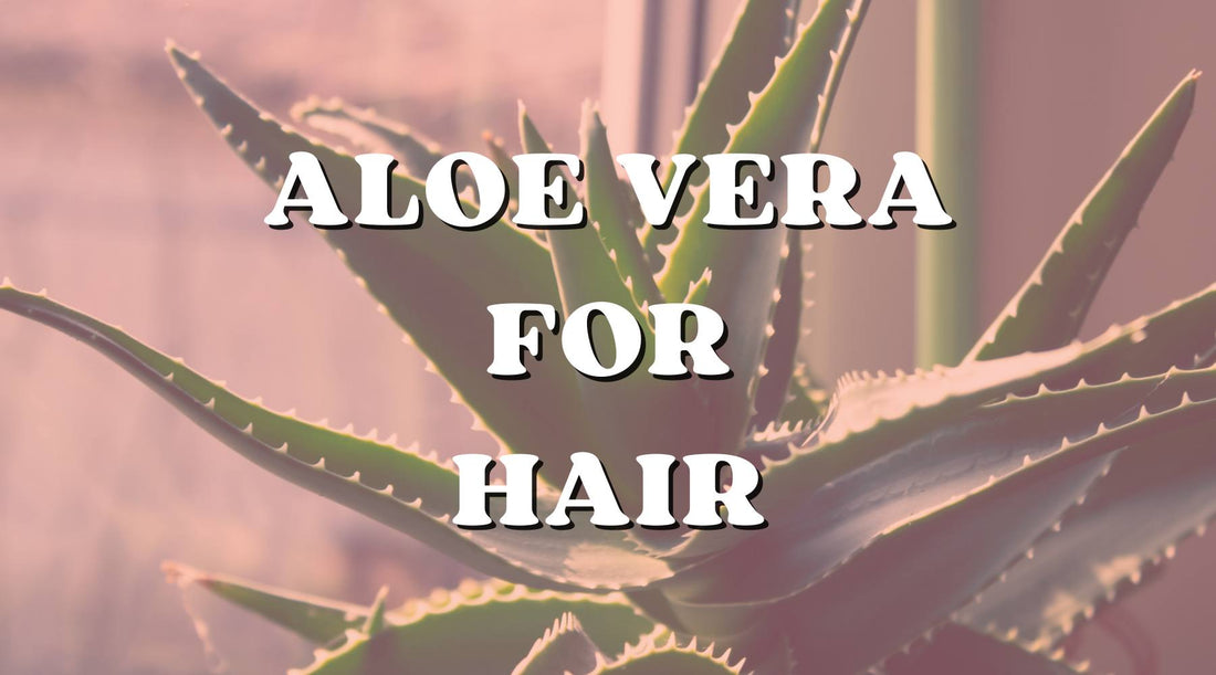 Is Aloe Vera Food for Your Hair? We Think So!