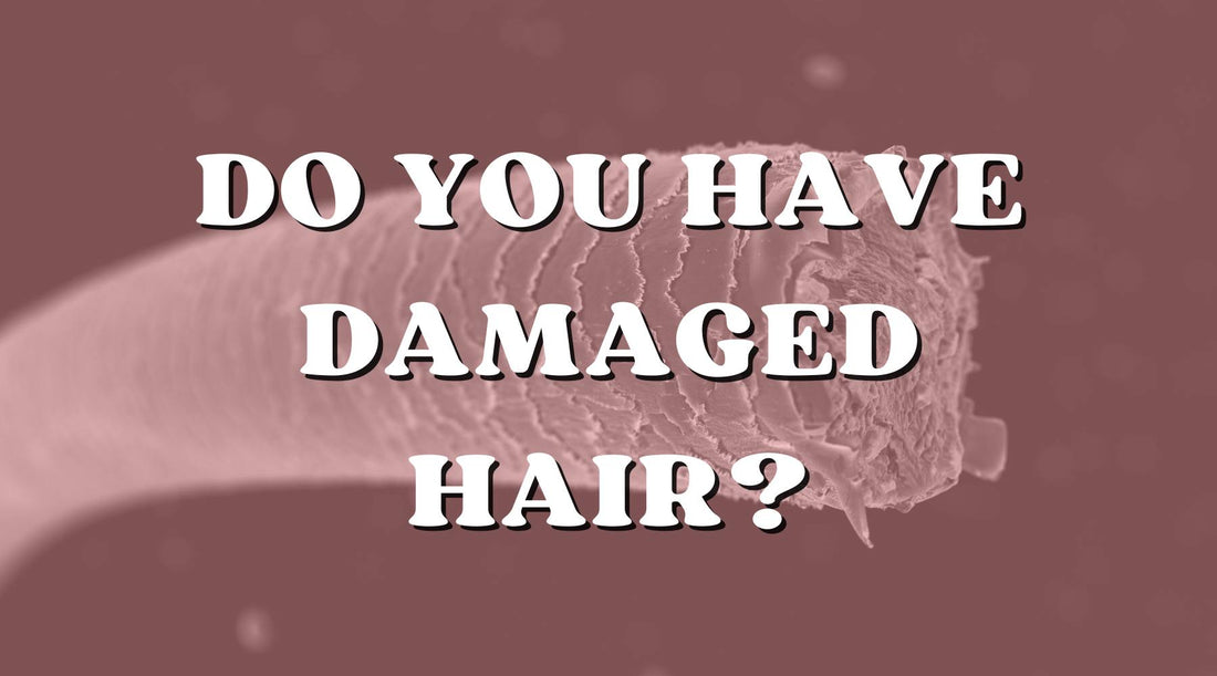 Do I Have Damaged Hair, and How Do I Fix It?