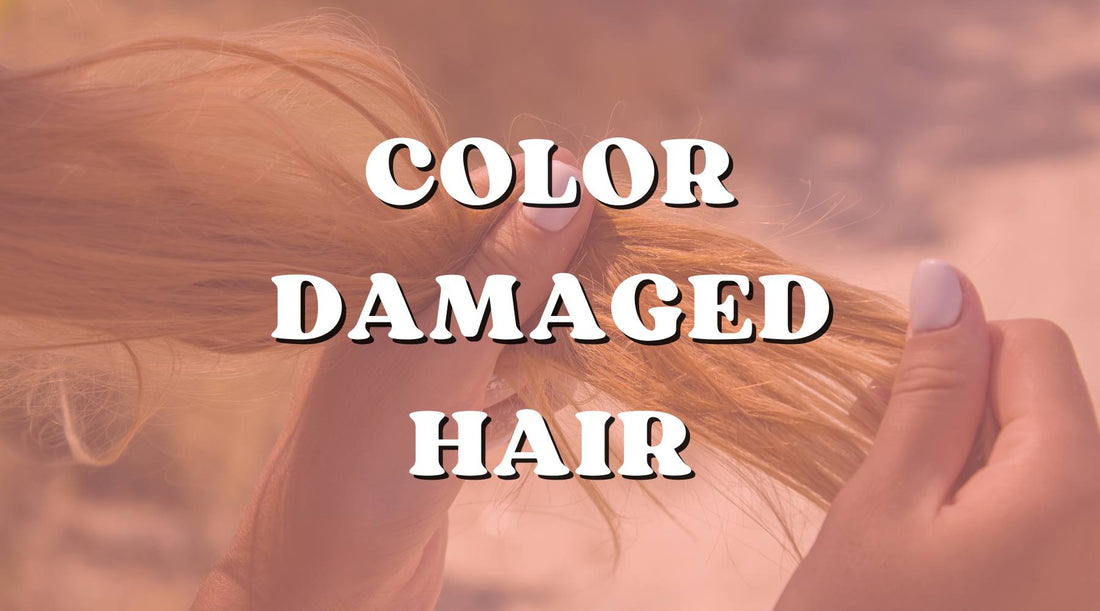 How to Bounce Back from Color Damaged Hair!