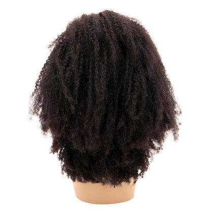 Afro Kinky Curly 4x4 Transparent Closure Wig SALE