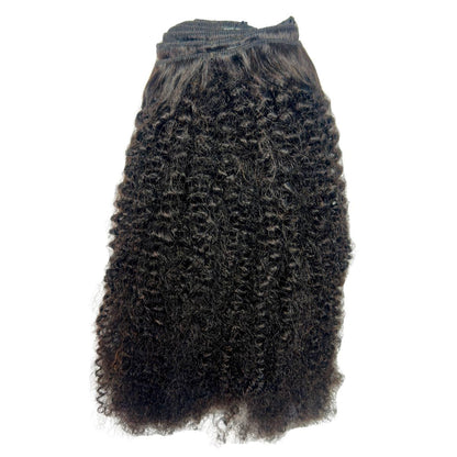 Afro Kinky Curly Clip In