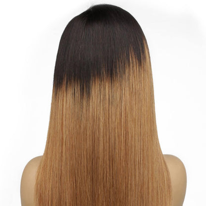 Chestnut Ombre Straight Lace Front Back