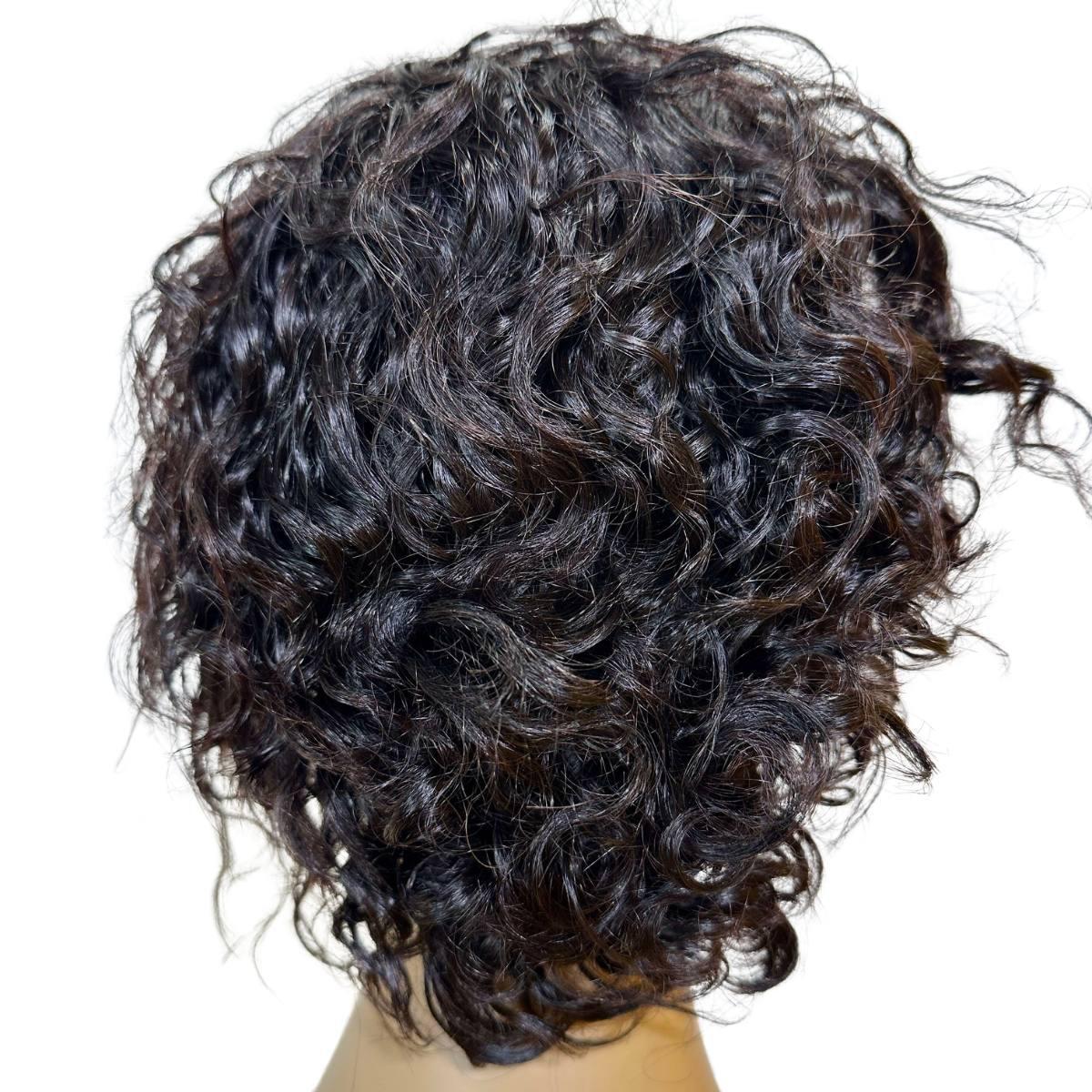 Natural Black Curly 13x4 Transparent Lace Front Pixie Wig