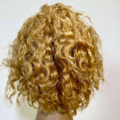 Honey Blonde Ombre Curly 13x4 Transparent Lace Front Pixie Wig